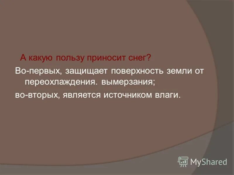Какую пользу могу принести для компании. Польза домашних животных. Какую пользу приносят собаки человеку. Почему семья нужна человеку. Какую пользу приносят домашние животные.