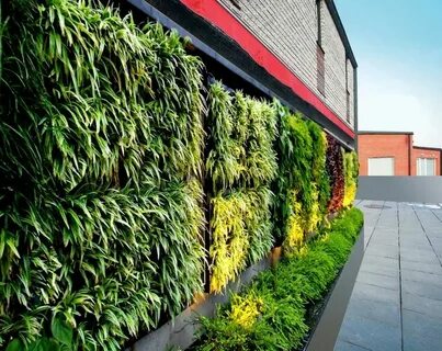 Plant systems