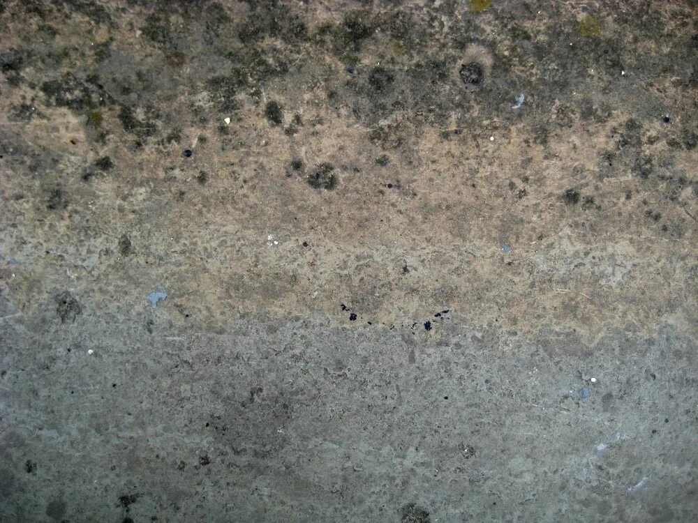 Бетонная стена с плесенью текстура. Плесень на бетонной стене. Текстура старого бетона. Плесень на бетоне