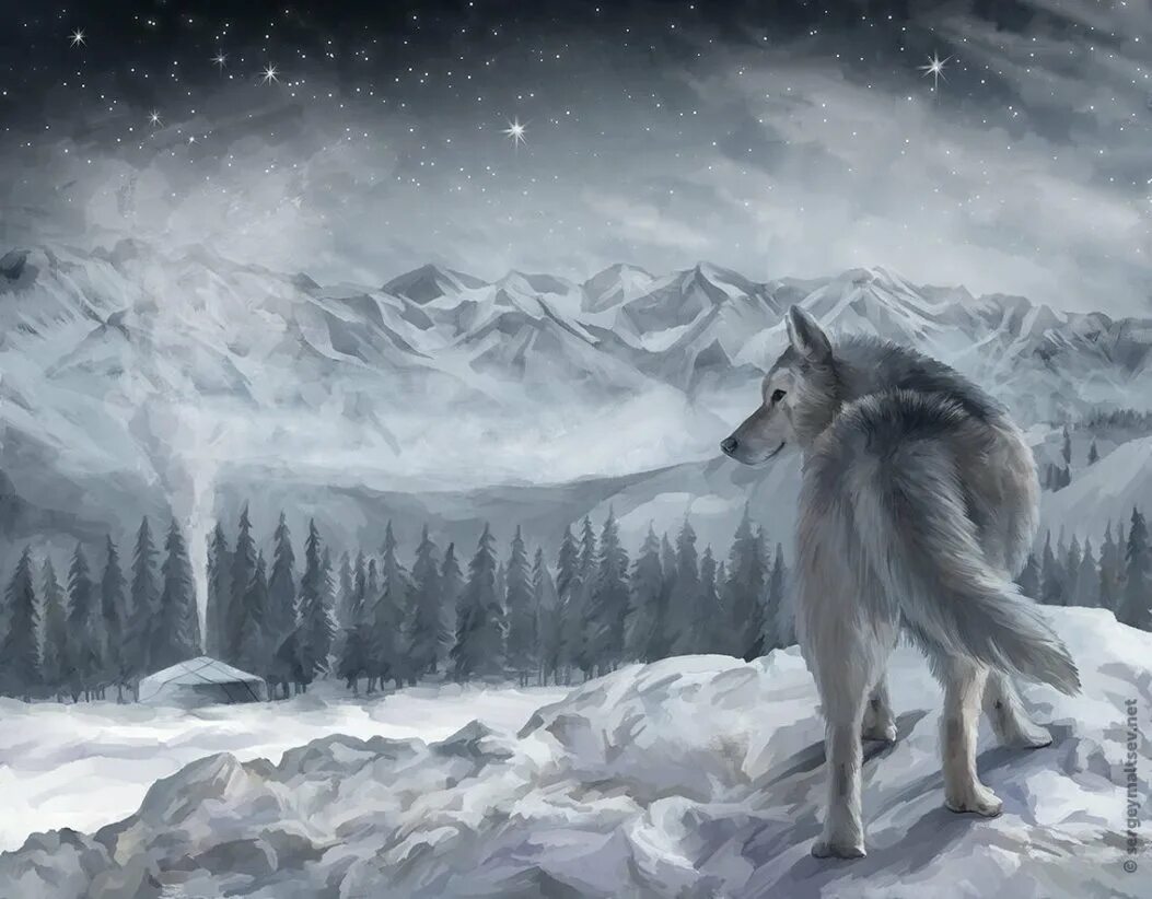 Көк бөрі текст. Изображение волка. Көк бөрі текст. Көк бөрі текст. Волк обои.