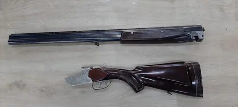 Сужья