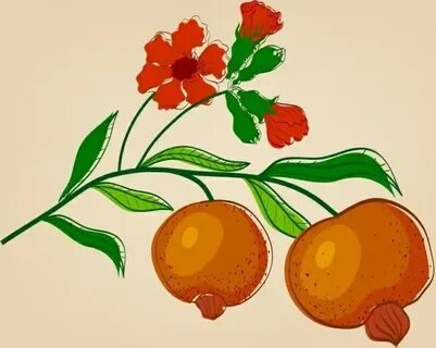 Цвет фрукты нарисованное