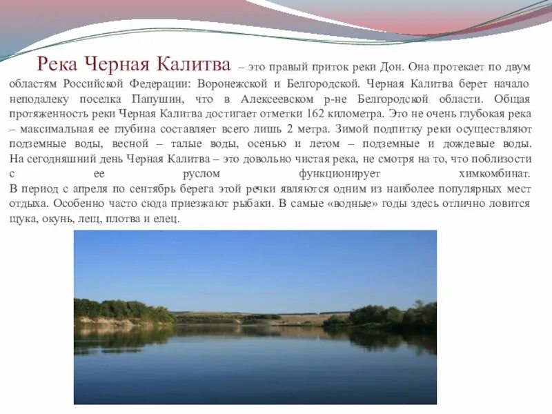 Температура воды в реке дон. Черная Калитва Белгородская область река. Река черная Калитва. Река чёрная Калитва Воронежская область описание. Приток реки Дон Воронеж.