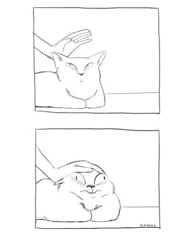 Мем гладить. Котика гладят мем. мем с поглаживанием. кот которого гладят по голове мем. погладить кота мем.