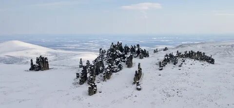 Poo yakutia