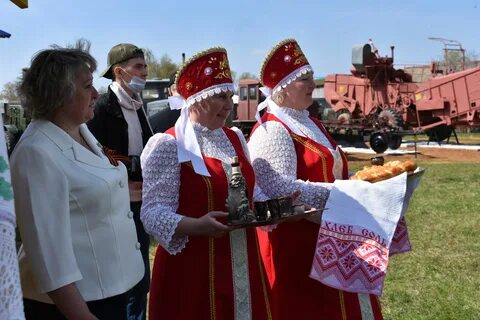 Погода в малом подберезье кайбицкий
