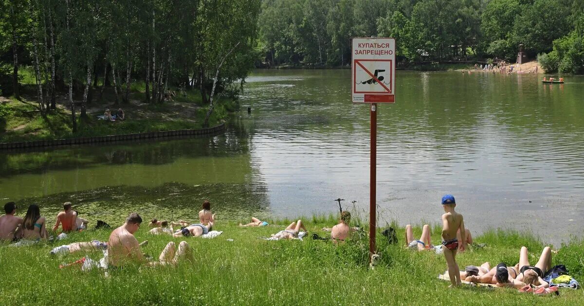 Озеро Тропарево в Москве. Тропарево парк купаться. Место для купания. Купаться запрещено. Зона купания