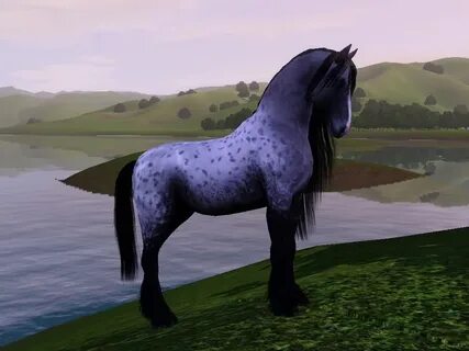 3 hors