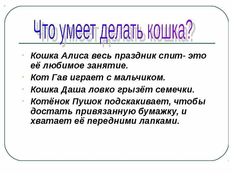 Что умеют кошки. Умел сделать умей отвечать. Кто не ошибается тот не учится. Умел сделать умей отвечать. Надо сделать выбор в этой жизни.