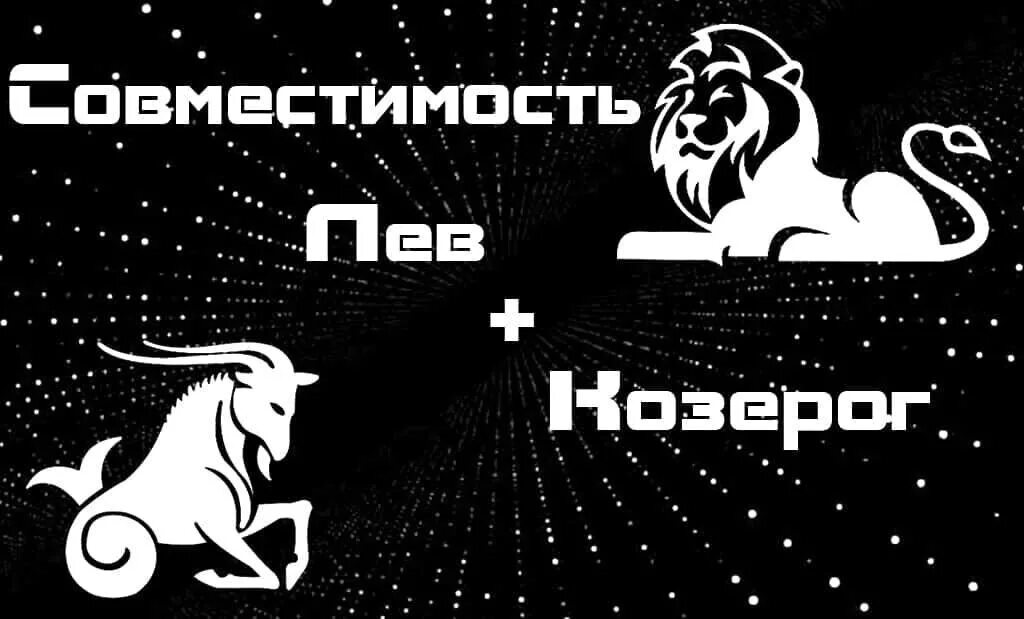 Козерог. Лев и Козерог. Козерог и Лев совместимость. Мужчина Козерог и женщина Лев. Отношения между козерогами