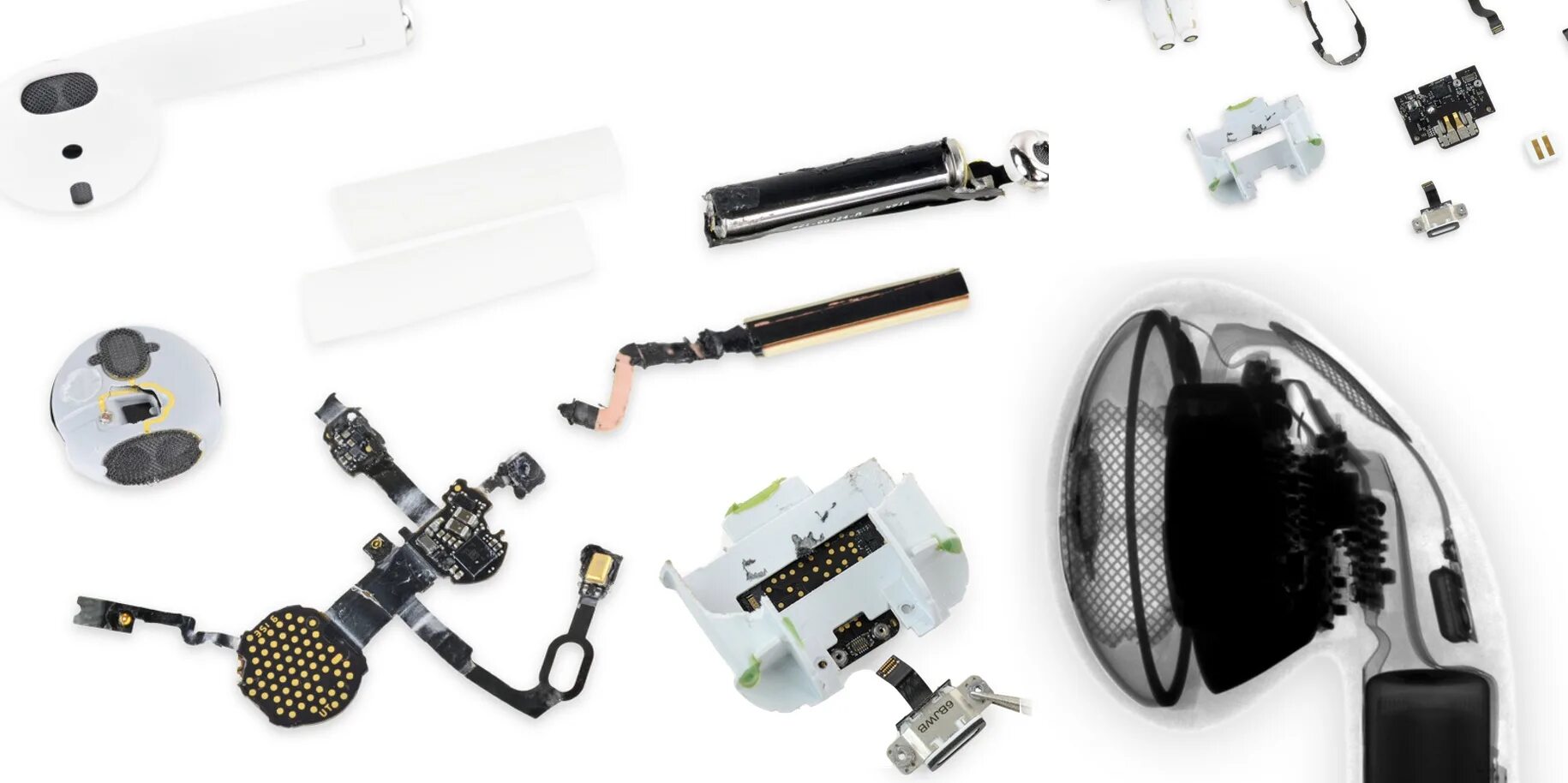 povertà Signorina Fai una foto ifixit airpods teardown Selezione congiunta Serra