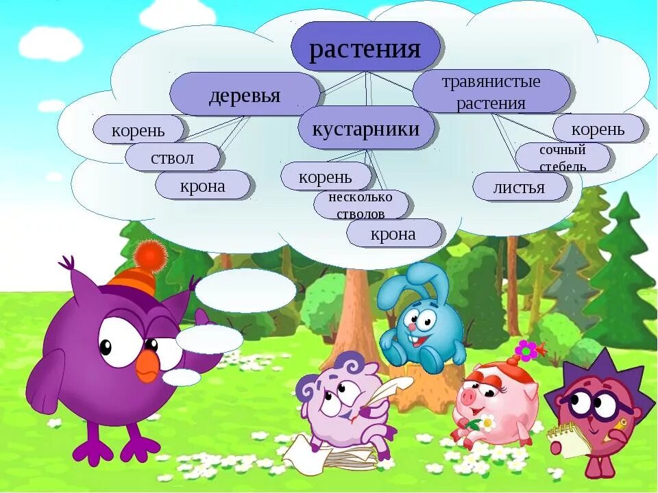 Презентация растение 2 класс окружающий мир. Какие бывают растения. Какие бывают расы. Какие бывают растения окружающий мир. Растения 2 класс окружающий мир.