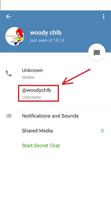 Что такое юзернейм в телеграмме. Юзернейм в телеграмме что это. username в телеграмме. юсер нейм в телеграмме что это такое. что такое юзер в телеграмме.