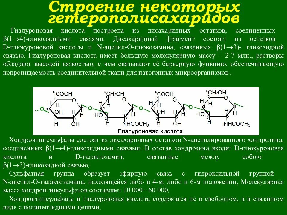 Для изучения строения полисахаридов используют метод. Формулы дисахаридных звеньев гиалуроновой кислоты. структурное звено полисахаридов. гиалуроновая кислота это полисахарид. тип гликозидной связи в молекуле целлюлозы.