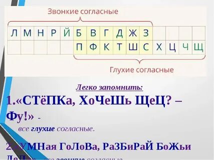 Слово в котором все буквы звонкие