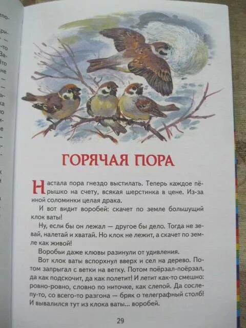 Настала пора гнездышко выстилать. Сладков Лесные сказки. Горячая пора Сладков план. План текста горячая пора. Сладков гнездо Главная мысль.