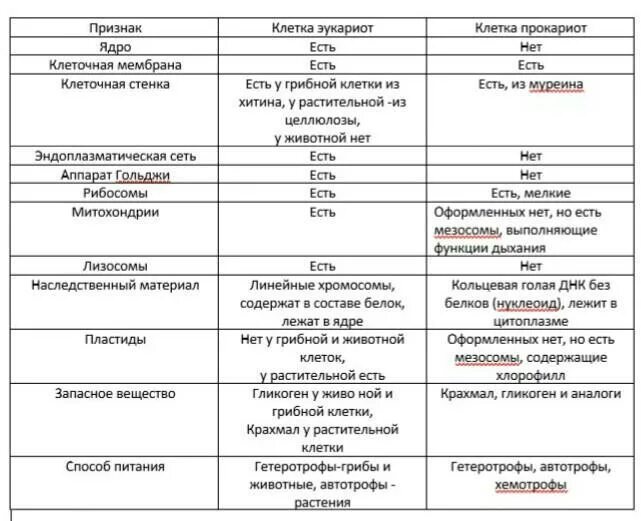 Эукариоты отличия. Строение прокариотических и эукариотических клеток таблица. Признаки прокариоты и эукариоты таблица. Сравнение прокариотической и эукариотической клетки таблица 10 класс. Различия прокариот и эукариот таблица.