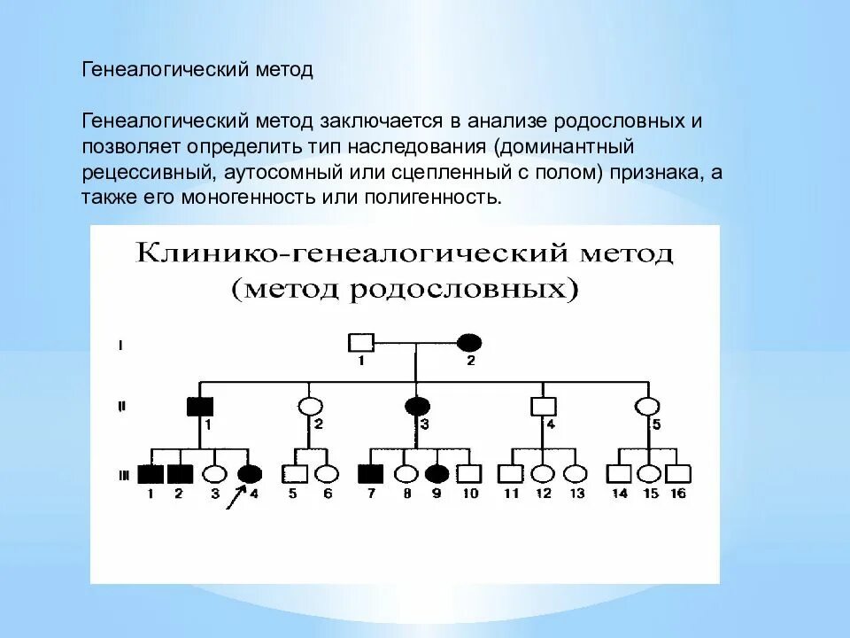 Рецессивно доминантный тип наследования. Родословная с аутосомно-доминантным типом наследования. Аутосомно-рецессивный Тип наследования задачи. Генеалогическое Древо аутосомно рецессивный Тип наследования. Аутосомно-рецессивный Тип наследования Древо.