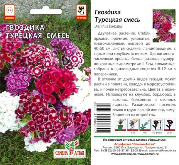 Семена Цветы Двулетние. Гвоздика Турецкая набор из 3-х пакетов. Адажио, Аллегро,