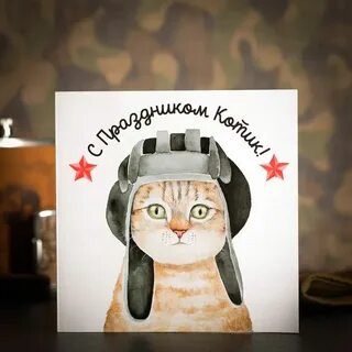 Кот защитник