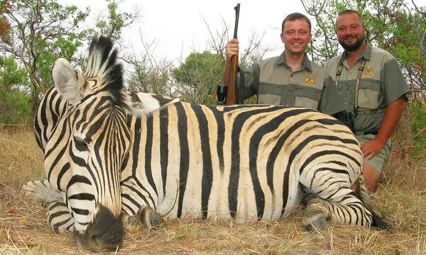 африканская охота 6 букв