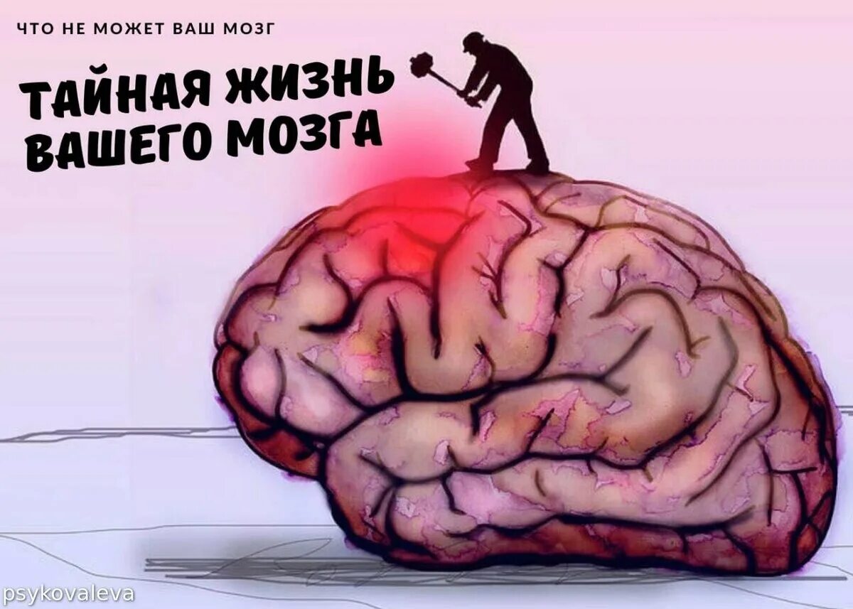 Brain 84. Наш мозг. Наш мозг может все. Мозг подчинил. Удивительные вещи наш мозг.