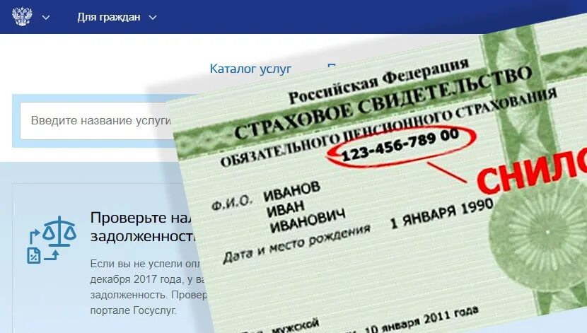 Снилс уже используется в другой учетной. Снилс. номер снилс. снилс госуслуги. номер снилс на госуслугах.