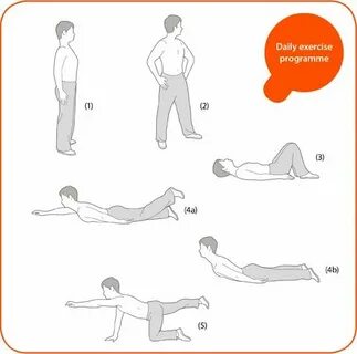 Daily exercise