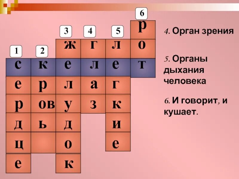 Скелет кроссворда