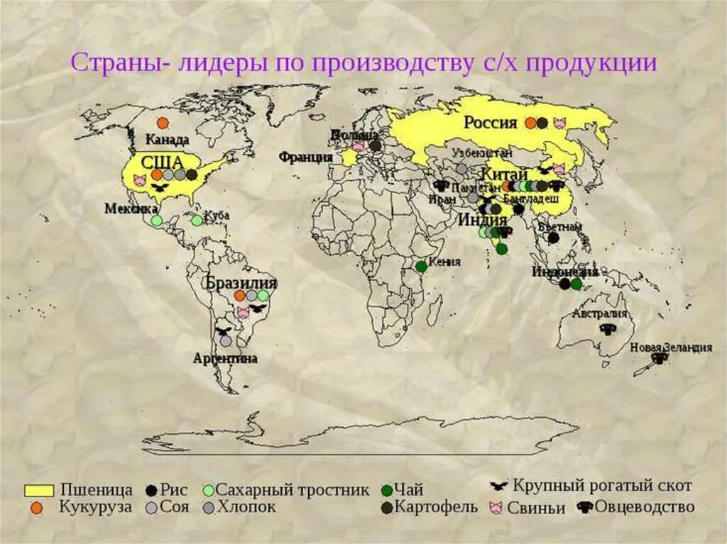 Страны Лидеры по производству пшеницы риса кукурузы. Страны– Лидеры по производству с/х продукции. Страны Лидеры по производству. Страны Лидеры по производству сельхозпродукции. Производство товаров в мире