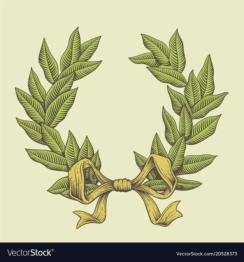 Лавровые венки. Лавровый венок символ. Стилизованный лавровый венок. Венок из лавровых листьев.