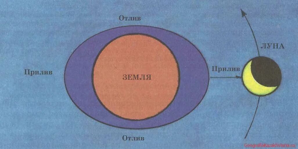 Земля Луна отлив прилив схема. Приливы и отливы влияние Луны схема. Механизм явления приливов и отливов на земле. Механизм явления приливов и отливов на земле схема. Приливы и отливы и притяжения луны