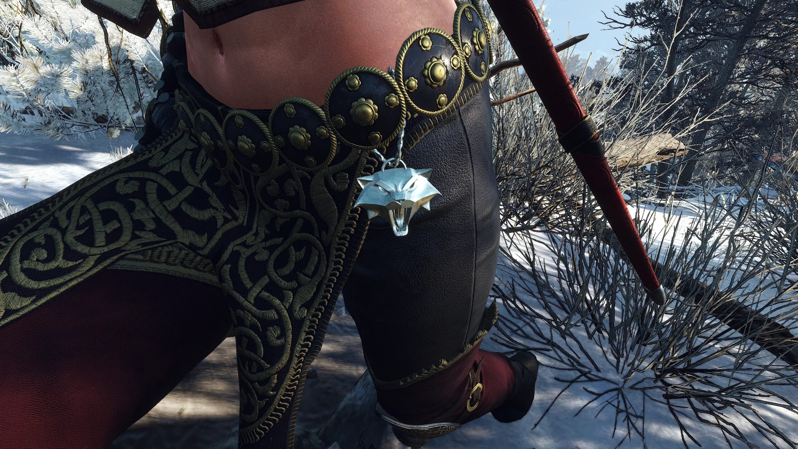 Ведьмак 4 школа. Ведьмак 4 новая сага. Ведьмак 4 школа. The witcher: sirius. Ведьмак школа рыси медальон.