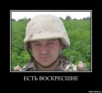 Потерь нет
