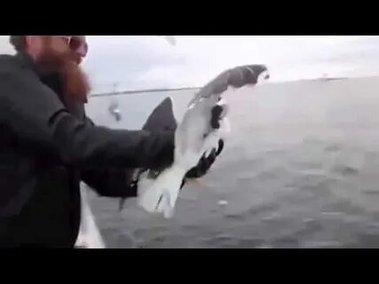 Видео мужик поймал