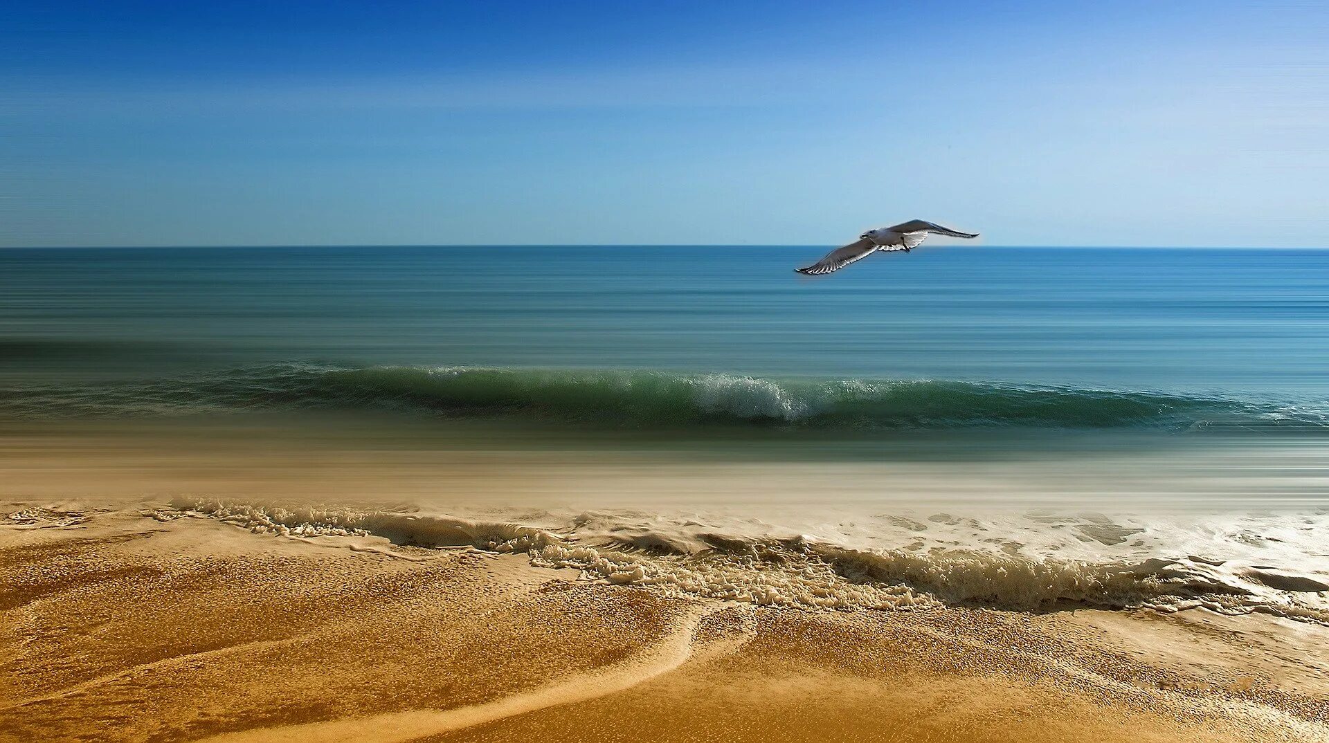 Лето станет длиннее. Море Чайки песок. Море картинки. Море пляж Чайки. Чайки над морем.