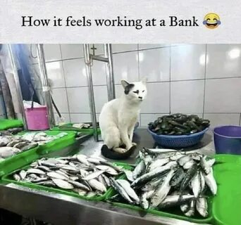 Каково работать