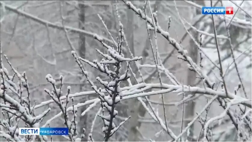 Снег весной. Похолодание. Мокрый снег. Хабаровск в апреле.