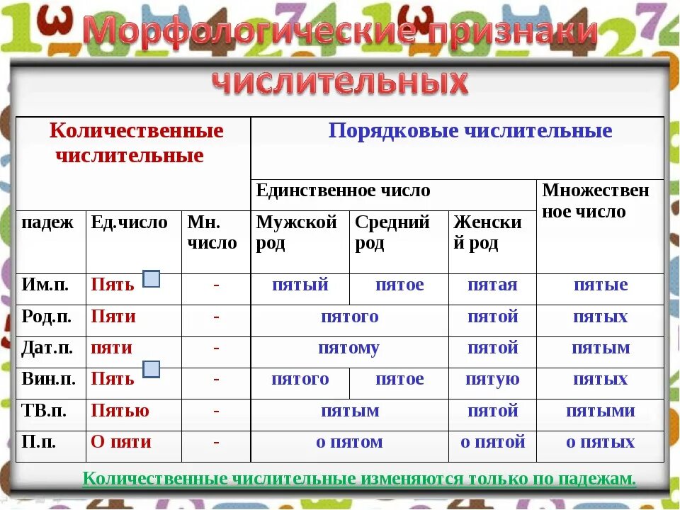 Род число падеж существительных. Как определить число у числительного. Как определить число у числительных. Как определить род у числительного. Как изменяются имена числительные.