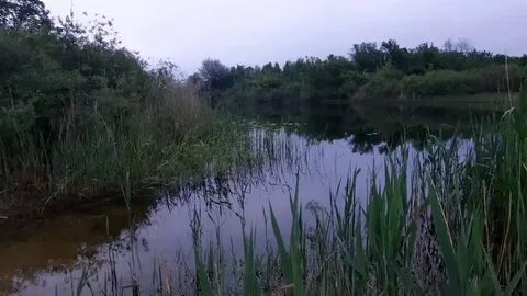 Погода в костарево камышинский