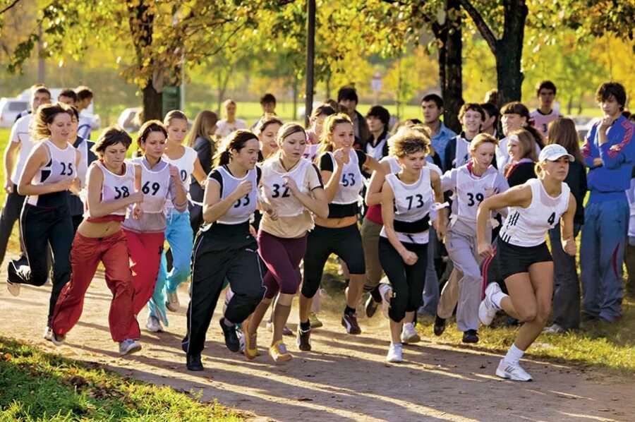 Учебно спортивное учреждение. Спортивные мероприятия. Спортивно массовые мероприятия. Физическая культура. Массовые физкультурно-спортивные мероприятия.