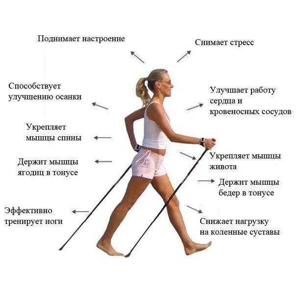 Чем заменить ходьбу в домашних условиях Неактивно