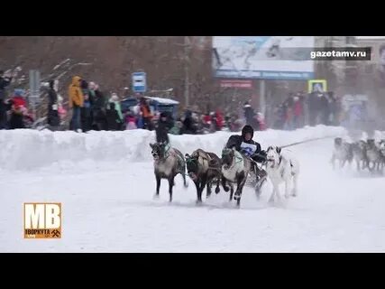 День оленевода воркута