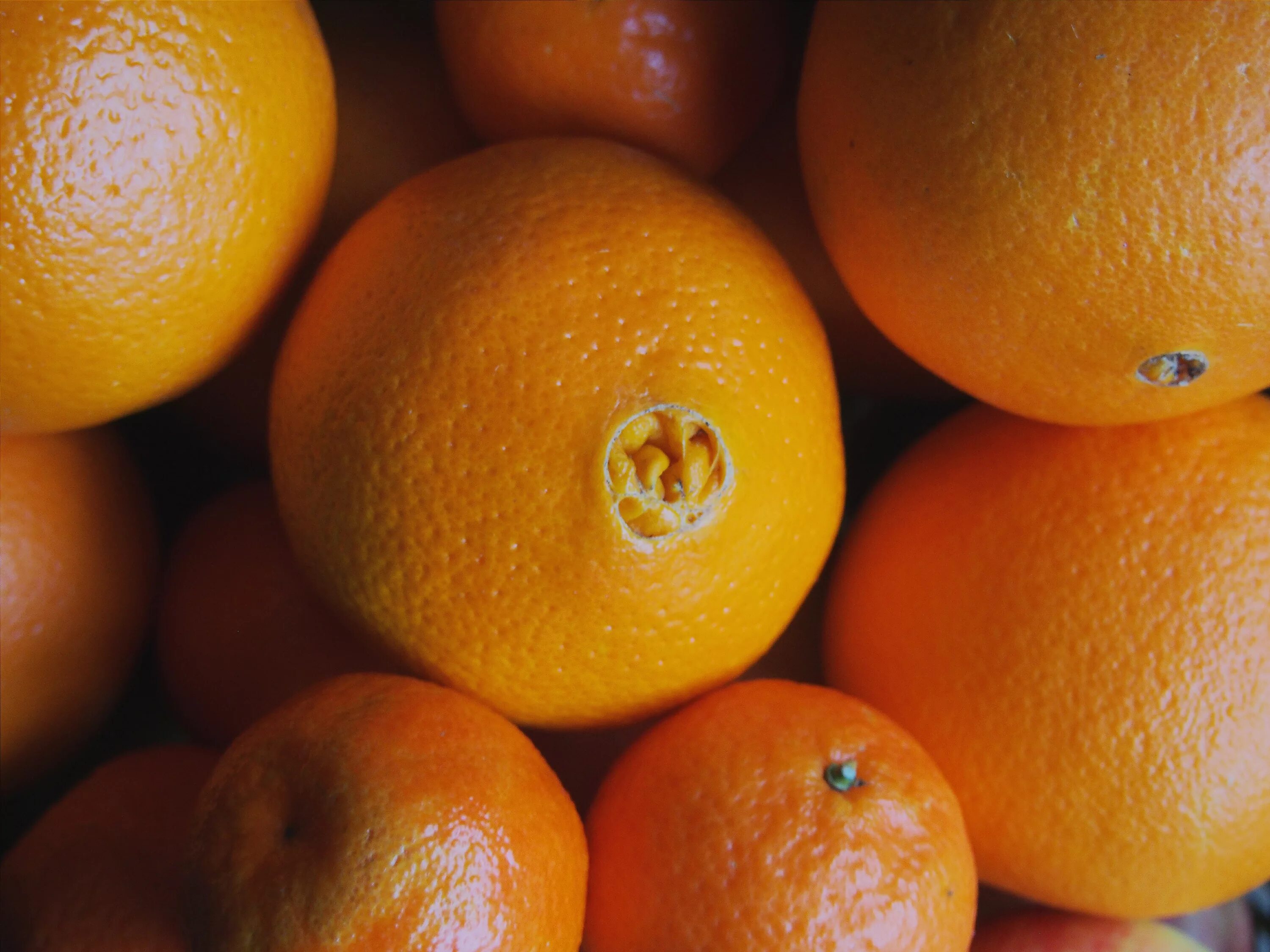 Апельсин википедия. Апельсин сорт оранж. Сладкий сорт апельсина. Арельстны сладкие сорт. Пупочные апельсины.