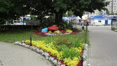 Рощу сердца