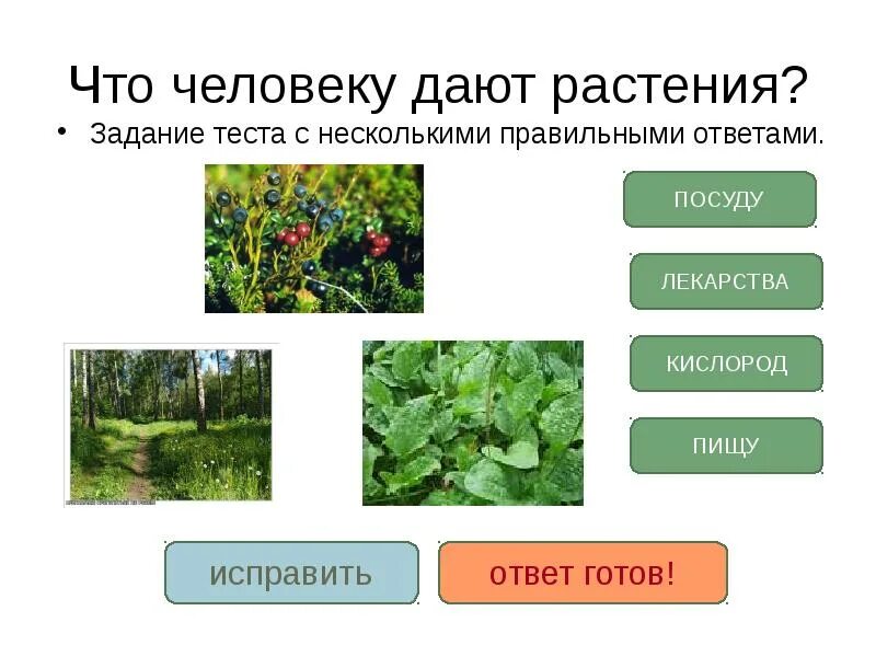 Животные растениями ответ