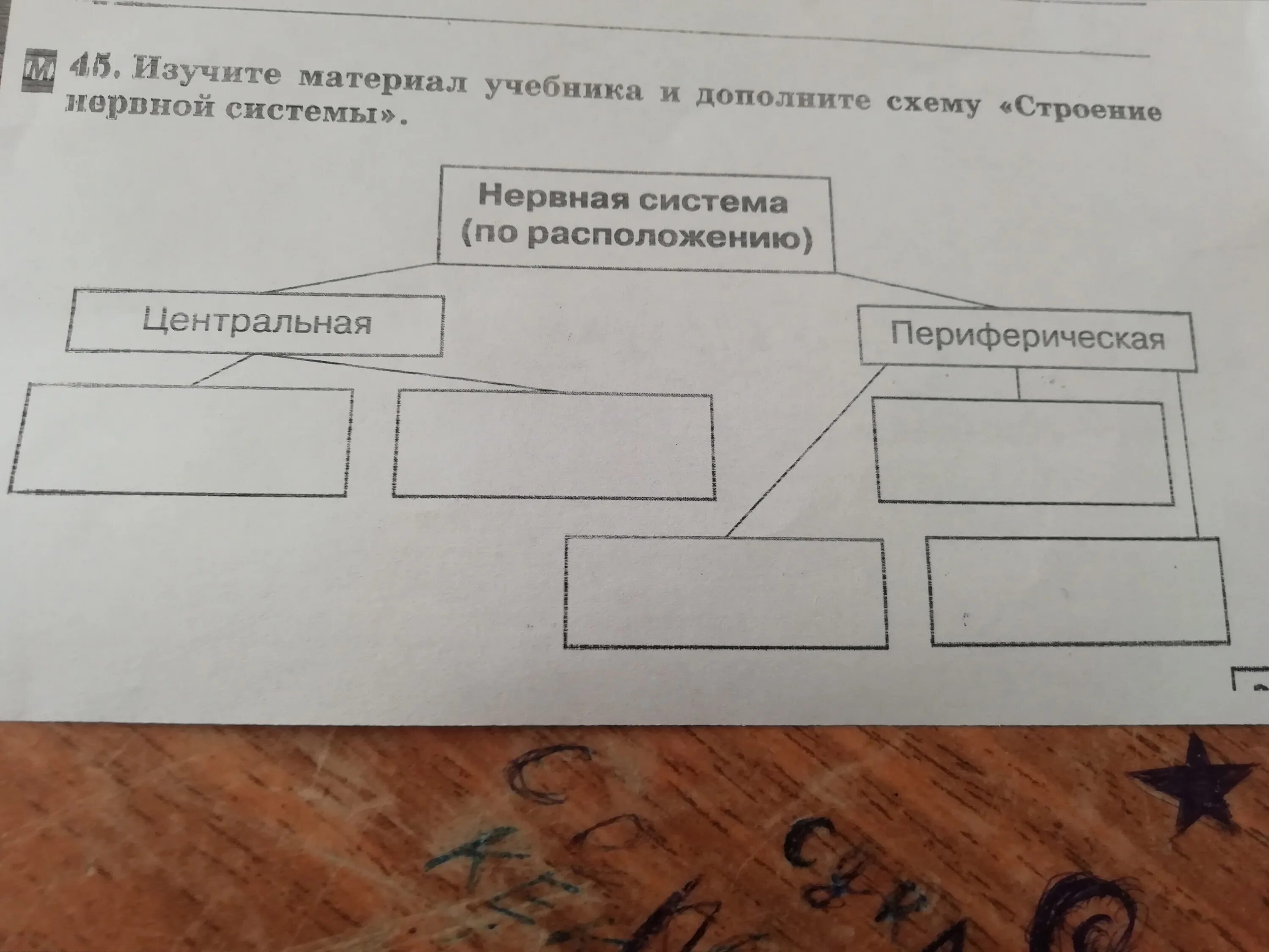 Впишите в схему. Заполни схему дополни ее примерами. Дополните схему названиями. Завершите схему, вписав ответы на «?»:.