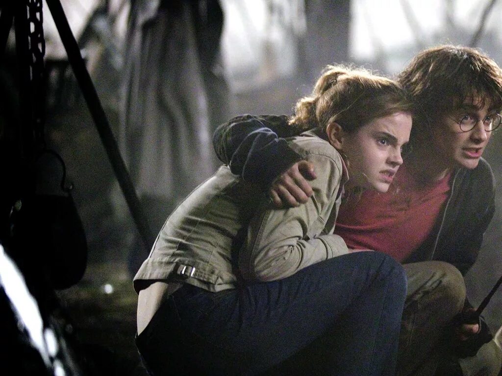 Harry potter and hermione&#039;s
