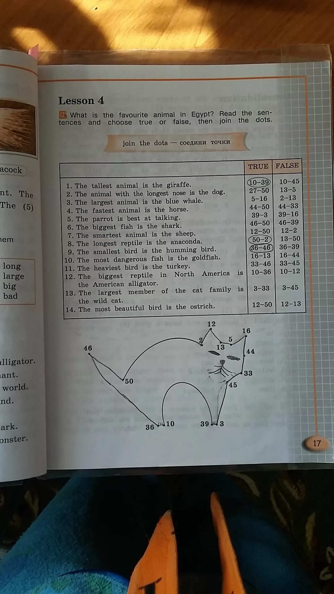 Read and choose true or false. What is the favourite animal in egypt соедини точки. find eight animals in the chains ответы страница 74-75. what is the favourite animal in egypt? read the sen and choose true or false then join the dots.