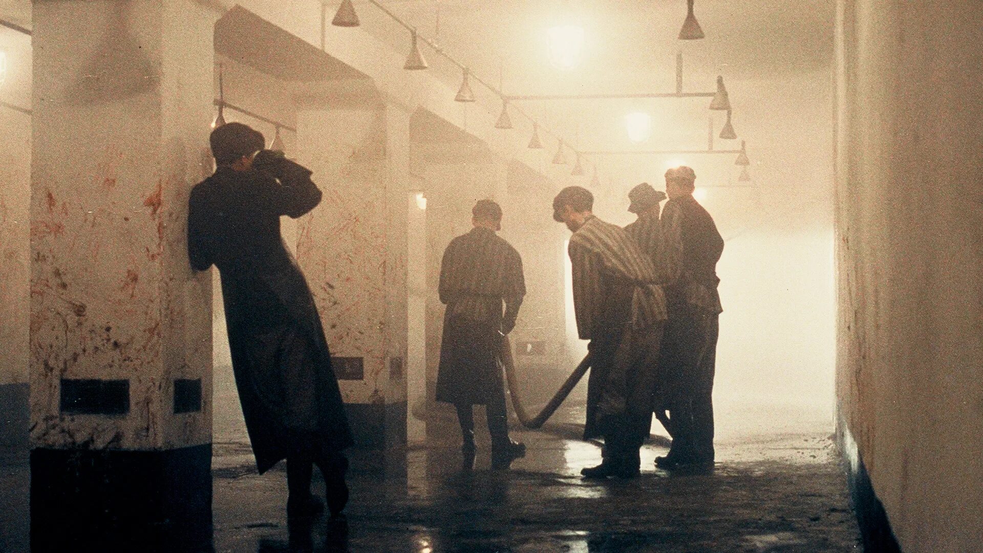 Ди зоне. Серая зона (2001). Сэнит зон.